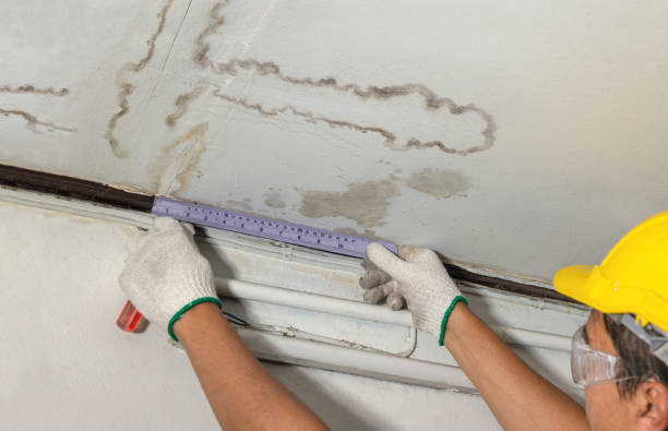 Reliable Water Damage Restoration contractor in San Lorenzo, CA by Water Damage Irwin